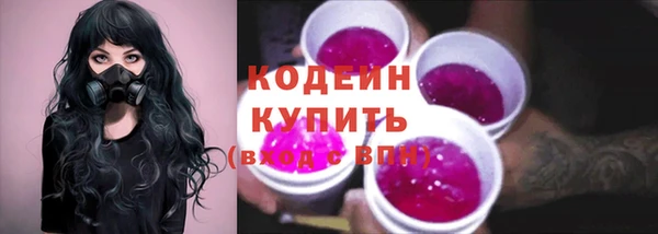 герыч Туринск