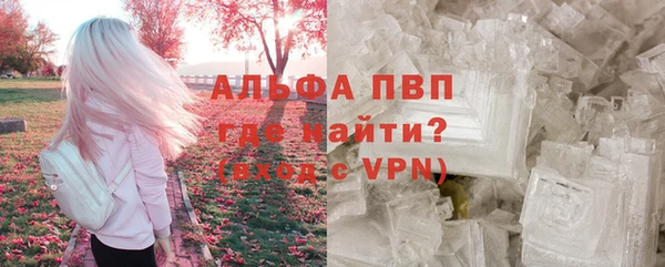 PSILOCYBIN Горняк