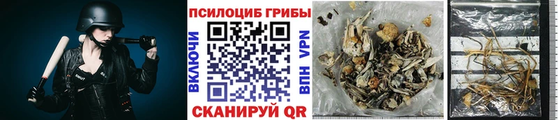 Галлюциногенные грибы Cubensis  Пересвет 